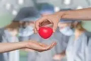 دختر سنندجی به ۸ نفر زندگی دوباره بخشید!