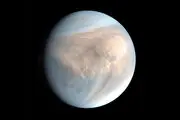 کشف حیات اعجاب انگیز در زهره