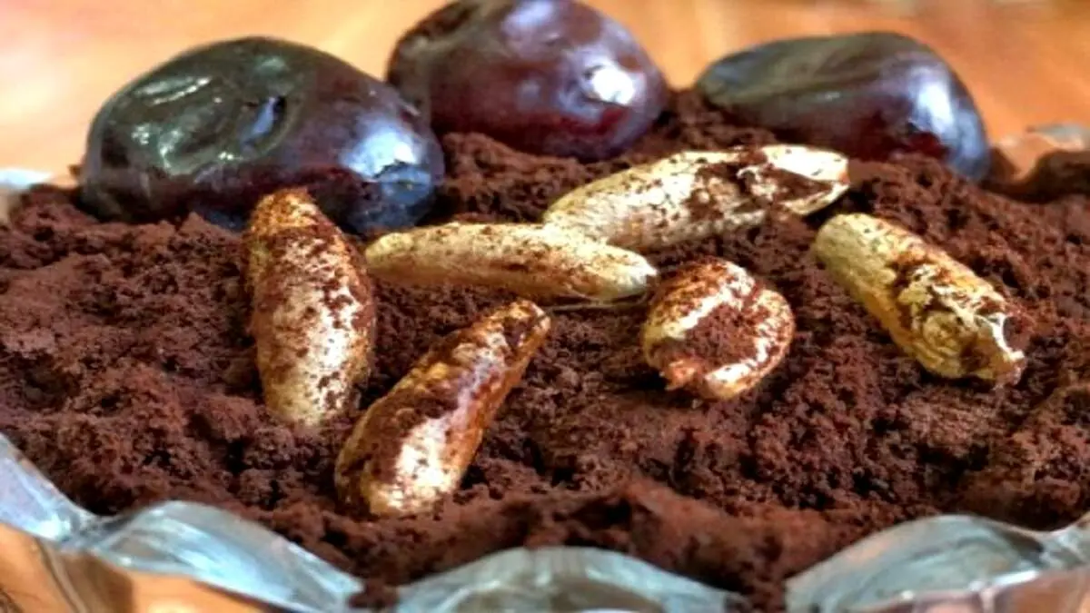 به این دلایل هسته خرما را دور نریزید!
