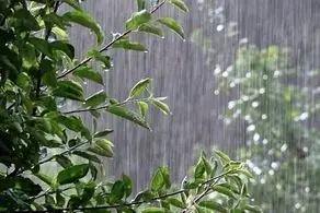 سازمان هواشناسی به این 18 استان هشدار داد!