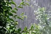 سازمان هواشناسی به این 18 استان هشدار داد!