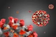 چرا برخی افراد هیچ وقت به کرونا مبتلا نمی‌شوند؟