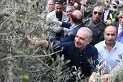 جنایت دیگر اسرائیلی‌ها فاش شد/ صهیونیست‌ها حتی به این موجودات هم رحم نکردند!