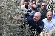 جنایت دیگر اسرائیلی‌ها فاش شد/ صهیونیست‌ها حتی به این موجودات هم رحم نکردند!