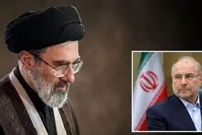 دیدار رئیس مجلس شورای اسلامی با رهبر معظم انقلاب