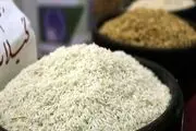 برنج ایرانی ارزان می‌شود