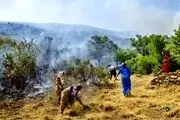 دستگیری ۱۴ عامل آتش سوزی جنگل های مریوان