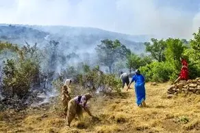 دستگیری ۱۴ عامل آتش سوزی جنگل های مریوان