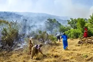 دستگیری ۱۴ عامل آتش سوزی جنگل های مریوان