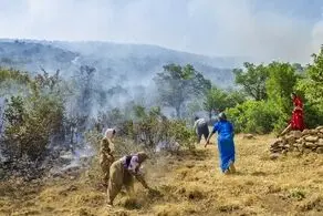 دستگیری ۱۴ عامل آتش سوزی جنگل های مریوان
