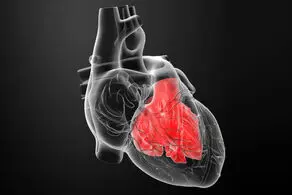 این نشانه‌ها یعنی قلبتان بیمار است