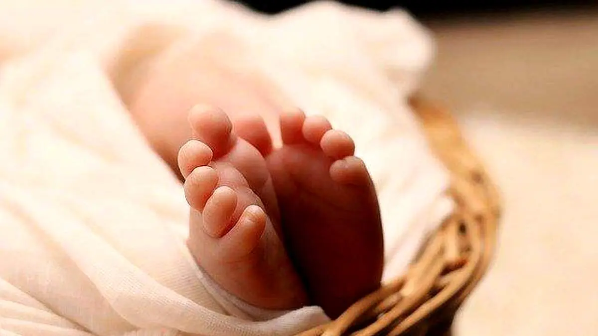 مادر سنگ دل تهرانی نوزاد خود را داخل سطل زباله انداخت