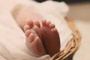 ماجرای دردناک نوزاد دو روزه که خوراک حیوانات شد