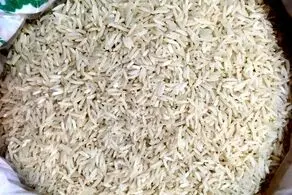 کشف بیش از ۱۶۰۰ تن برنج احتکار شده 