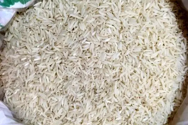 کشف بیش از ۱۶۰۰ تن برنج احتکار شده 