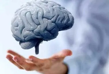 مضرترین غذاها برای مغز را بشناسید