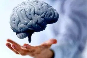 مضرترین غذاها برای مغز را بشناسید