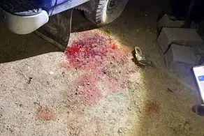 جنایت جدید آمریکایی صهیونی در روستای کفری شیراز + عکس 