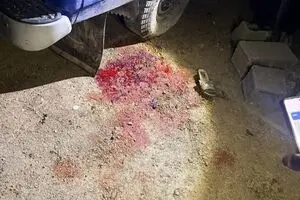 جنایت جدید آمریکایی صهیونی در روستای کفری شیراز + عکس 