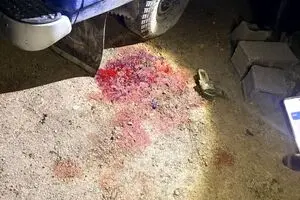 جنایت جدید آمریکایی صهیونی در روستای کفری شیراز + عکس 
