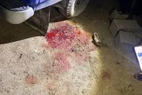 جنایت جدید آمریکایی صهیونی در روستای کفری شیراز + عکس 