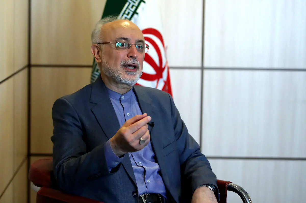 پیام تسلیت علی‌ اکبر صالحی در پی شهادت رئیس‌ جمهور و هیات همراه