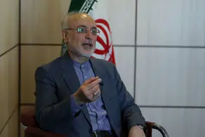 پیام تسلیت علی‌ اکبر صالحی در پی شهادت رئیس‌ جمهور و هیات همراه