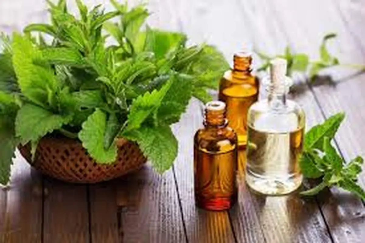 اگر بوی این 2 رایحه را متوجه نمی‌شوید ، ویروس کرونا 
در بدن شماست!