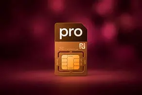 اینترنت پرو چیست و مردم عادی چگونه اینترنت پرو بگیرند؟/ مراحل و هزینه