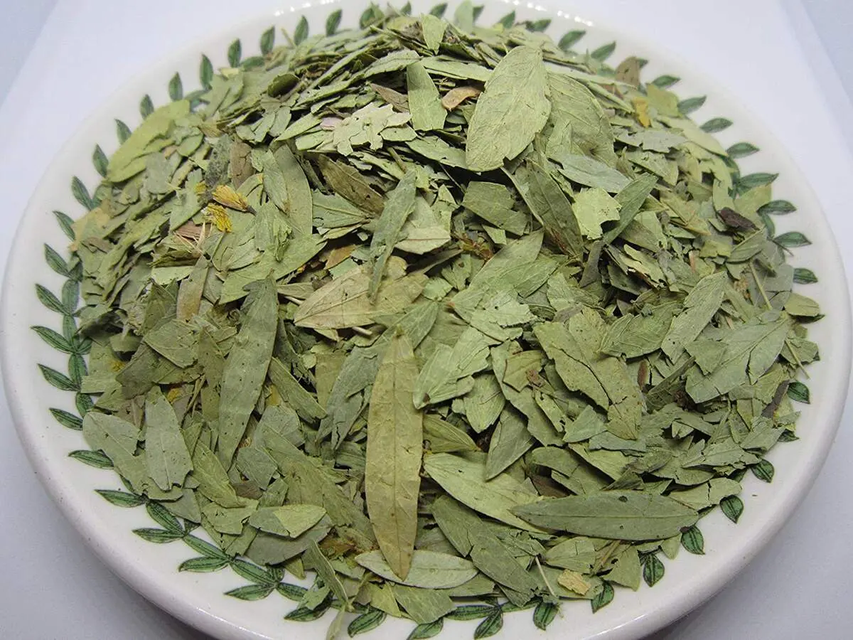 معجزه این گیاه برای لاغری!
