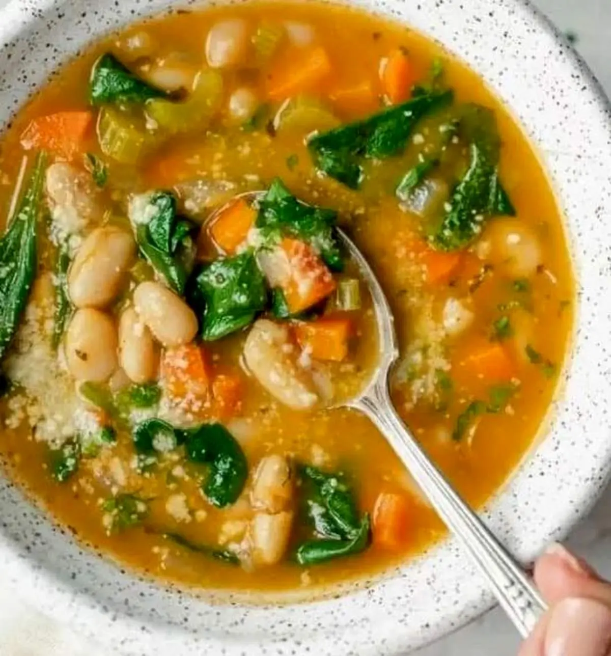 سوپ سبزیجات لوبیاسفید، پیش‌غذای خوشمزه و سالم