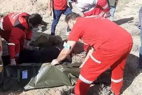 مرگ تلخ مسافر زن تاکسی زرد