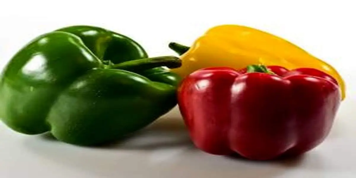 به این دلایل بسیار مهم حتما فلفل دلمه ای بخورید