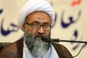 عضو خبرگان رهبری: بدعت حجاب اختیاری خطرناک‌تر از تخریب و اغتشاش است