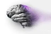تصویری ترسناک و بسیار عجیب از مغز یک آلزایمری در برابر مغز سالم/ عکس