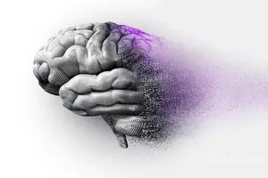 پیشگیری  از آلزایمر با ۴ خوراکی خوشمزه