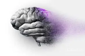 پیشگیری  از آلزایمر با ۴ خوراکی خوشمزه