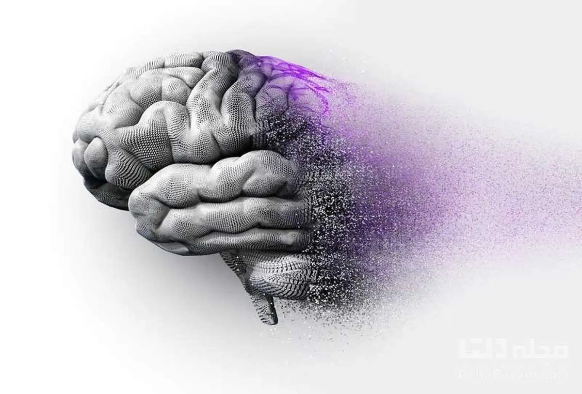 تصویری ترسناک و بسیار عجیب از مغز یک آلزایمری در برابر مغز سالم/ عکس