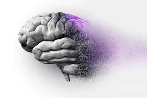 پیشگیری  از آلزایمر با ۴ خوراکی خوشمزه