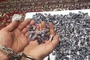 بلع ۲۹۰ بسته تریاک برای قاچاق
