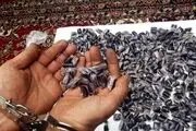 بلع ۲۹۰ بسته تریاک برای قاچاق