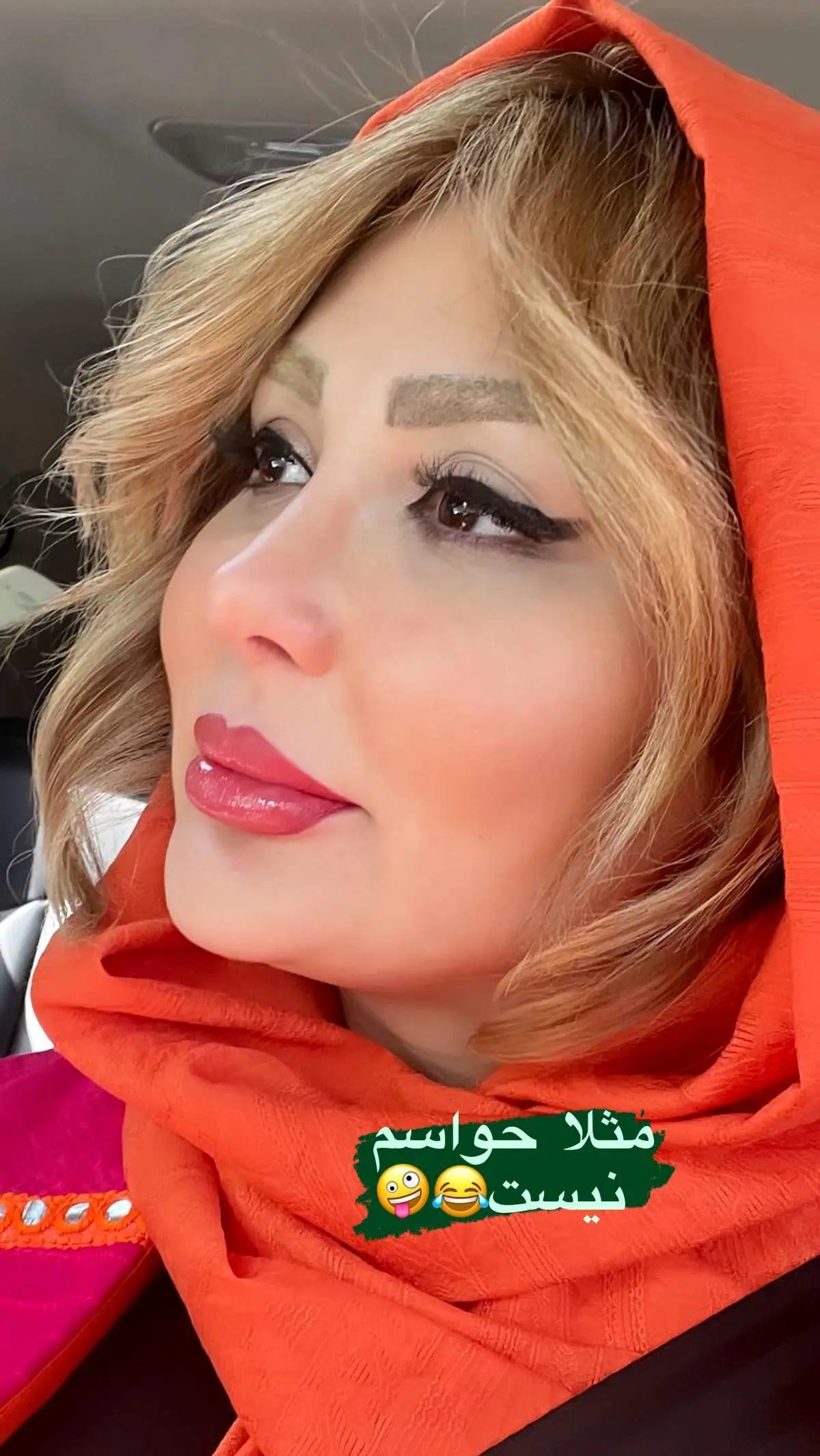  نیوشا ضیغمی: زمستان خواهد گذشت، به امید پیروزی