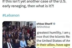 نمونه دیگری از دبّه کردن زودهنگام آمریکا