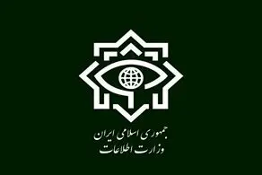 ضربه سنگین وزارت اطلاعات به باند بزرگ قاچاق مواد مخدر