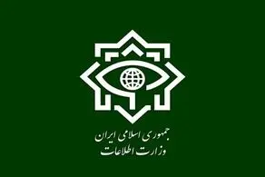 ضربه سنگین وزارت اطلاعات به باند بزرگ قاچاق مواد مخدر