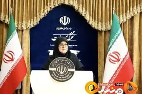 دولت از شخص توهین کننده به رئیس جمهور شکایت می کند؟/ واکنش سخنگوی دولت به حملات دولت در سایه به پزشکیان 