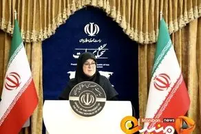 دولت از شخص توهین کننده به رئیس جمهور شکایت می کند؟/ واکنش سخنگوی دولت به حملات دولت در سایه به پزشکیان 