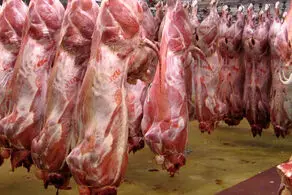قیمت سرسام‌آور گوشت همه را در شوک فرو برد!/ مصرف گوشت 50 درصد کاهش یافت