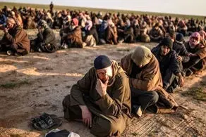 صدها داعشی فرار کردند