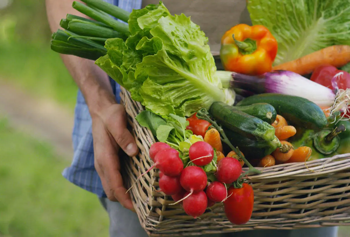 خلاقیت خنده دار این سبزی فروش برای فروختن زودتر سبزی ها حماسه ساز شد/ عکس